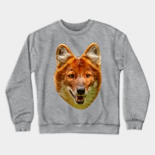 Dhole or Indian Wild Dog Crewneck Sweatshirt